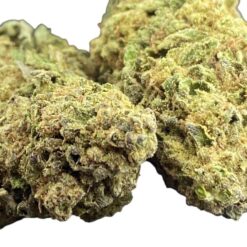 Jelly Rancher 2 IMG 8748