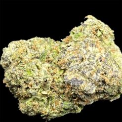 Mike Tyson 2 IMG 8859