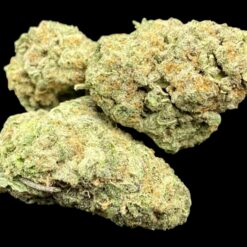 LA Pop Rockz 2 IMG 8916