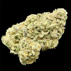 King Kong Glue 2 IMG 8918