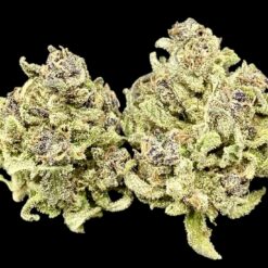 Cherry Guava 3 IMG 8966