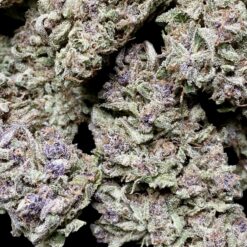 Cherry Guava 1 IMG 8967