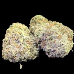 Mike Tyson 3 Photoroom 20241211 100941