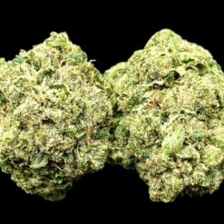Gas Stank 2 IMG 9280
