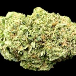Gas Stank 3 IMG 9281