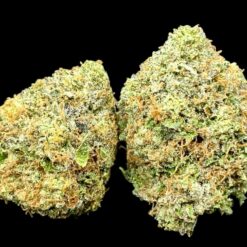 Holy Grail OG 3 IMG 9283