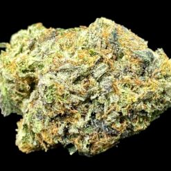 Holy Grail OG 2 IMG 9284