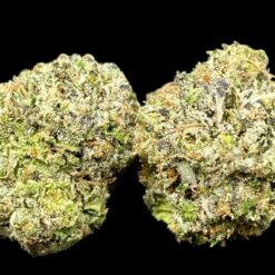 Slippery Susan 2 IMG 9287