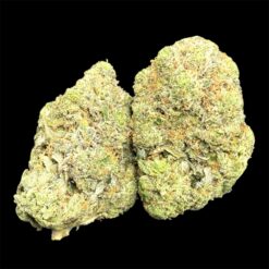 Death Bubba 3 IMG 0839