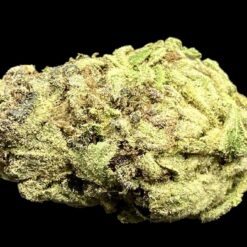 Candy Apple 3 IMG 9662