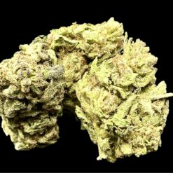 Candy Apple 2 IMG 9663