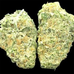 God’s Gift kw only 3 IMG 0040