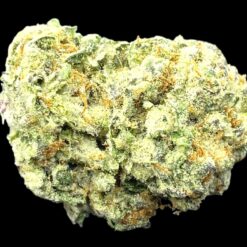 God’s Gift kw only 2 IMG 0041