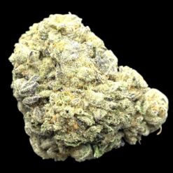 White Poison 3 IMG 0126