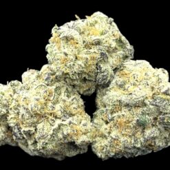 White Poison 2 IMG 0127