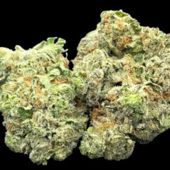 Exotic Gas 2 IMG 0175