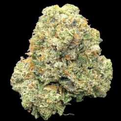 Exotic Gas 3 IMG 0176