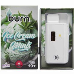 Burn Disposable Vapes –  Ice Cream Mints 2g