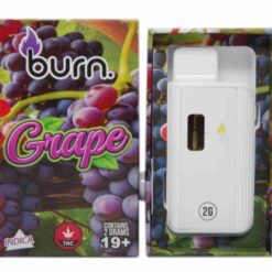 Burn Disposable Vapes – Grape 2G