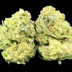 Orange Sapphire 1 IMG 0312