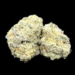 Pink Whip 2 Photoroom 20250423 212037