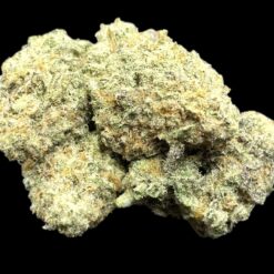 Pink Whip 3 Photoroom 20250423 212107