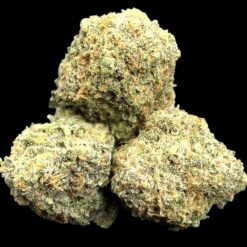 Photoroom 20250423 212146