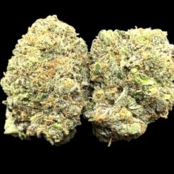 Photoroom 20250423 212205