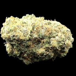 Photoroom 20250423 212223