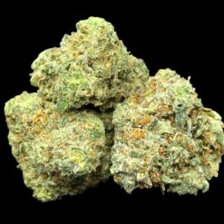 Photoroom 20250423 220137