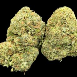 Ice Breaker 3 IMG 0538