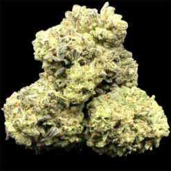 Mango Smoothie 2 Photoroom 20250506 205216