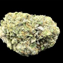 Pink Diesel 3 IMG 0978