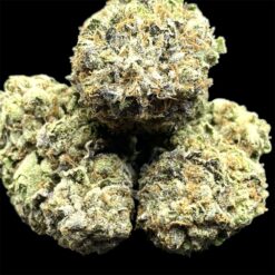 Pink Diesel 2 IMG 0979