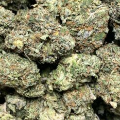 Rocketeer 2 IMG 1043