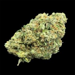 Rocketeer 3 IMG 1044