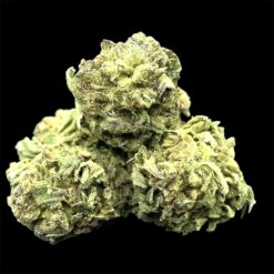 Orange Layer Cake 2 IMG 1094