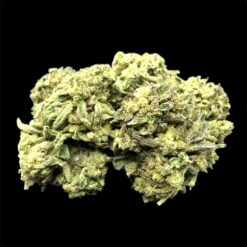 Orange Layer Cake 3 IMG 1095