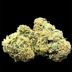 Lemon Cane 3 IMG 1098