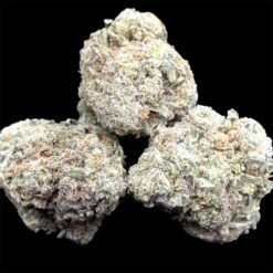 Durban Biscotti