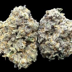 Poison Ivy 2 IMG 1357