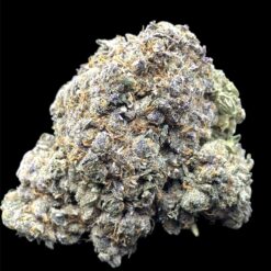 Poison Ivy 3 IMG 1358