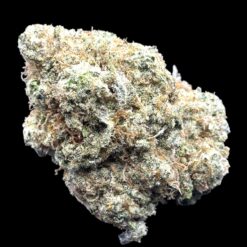 Uncle Snoop 3 IMG 1362