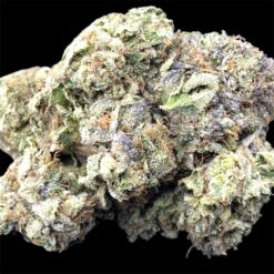 Platinum NASA 2 IMG 1363