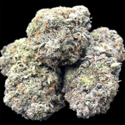 Platinum NASA