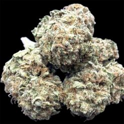 Grape God