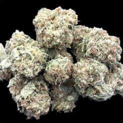 Grape God 2 IMG 1487
