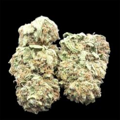 Grape God 3 IMG 1488