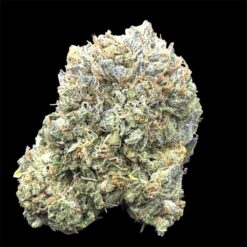 Tuna Kush 3 IMG 1522