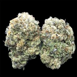 Tuna Kush 2 IMG 1523